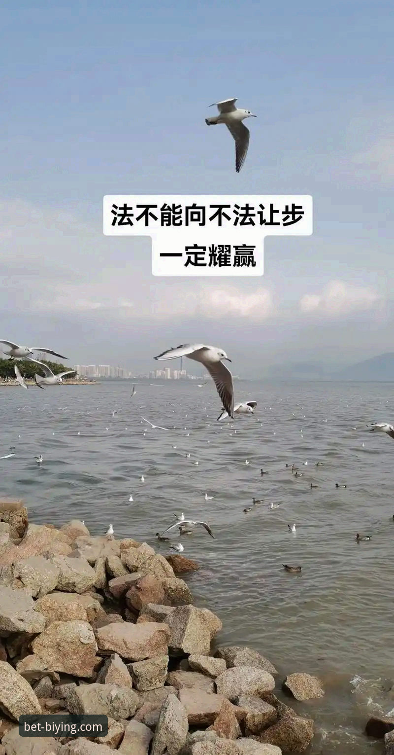 必赢体育平台与365到底有何不同？用户该如何选择？