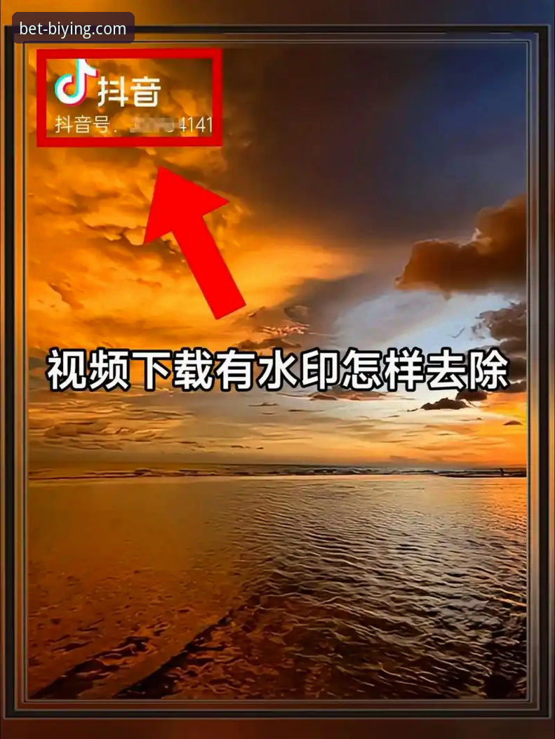 必赢体育平台新手完整指南：从登录到下载的操作全解析