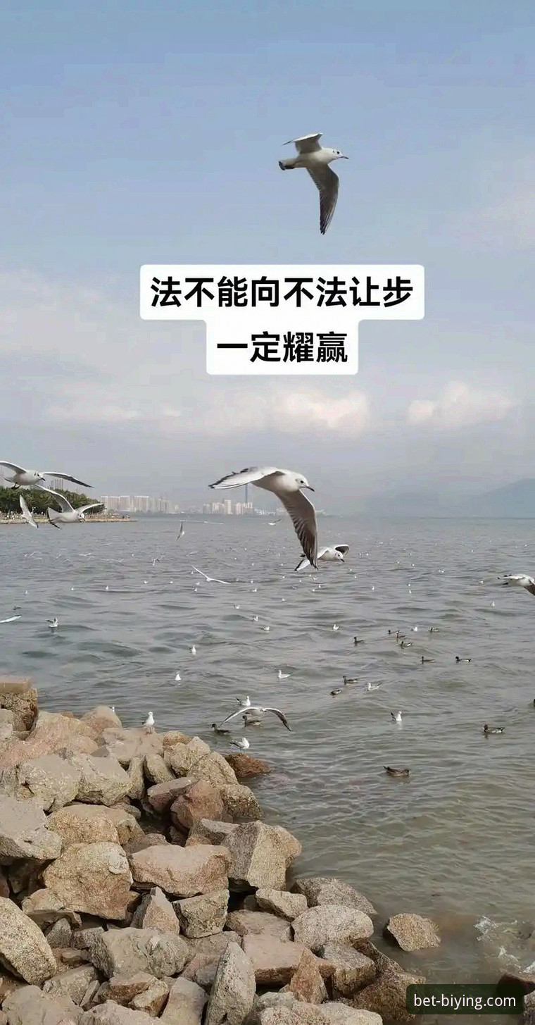 必赢体育平台APP下载详解：功能、对比与实用指南